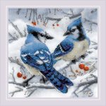 (image for) Blue Jays